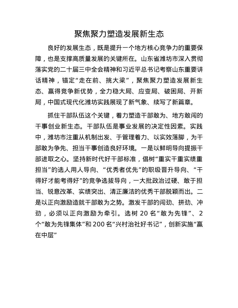 聚焦聚力塑造发展新生态(1).docx_第1页