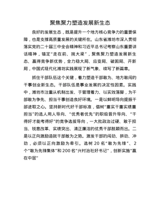 聚焦聚力塑造发展新生态(1).docx