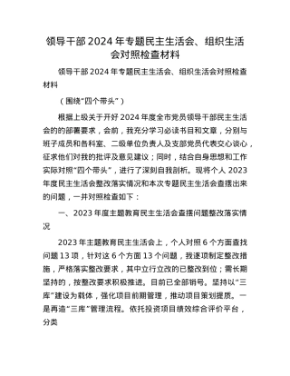 领导干部2024年专题民主生活会、组织生活会对照检查材料(1).docx