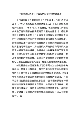民营经济促进法：平等保护民营经济的基本法.docx