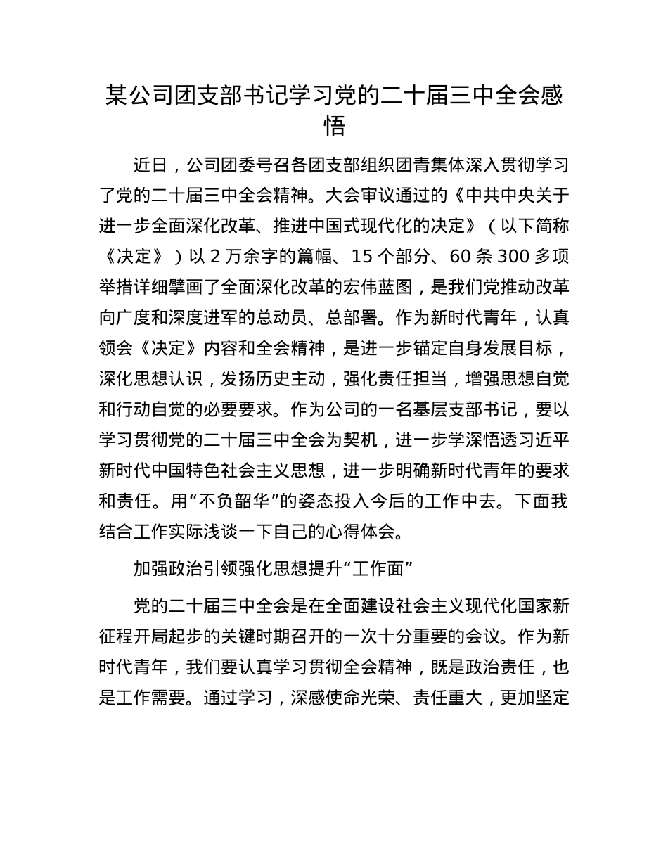 某公司团支部书记学习X的二十届三中全会感悟.docx_第1页
