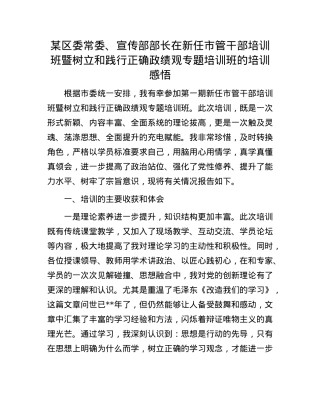 某区委常委、宣传部部长在新任市管干部培训班暨树立和践行正确政绩观专题培训班的培训感悟.docx