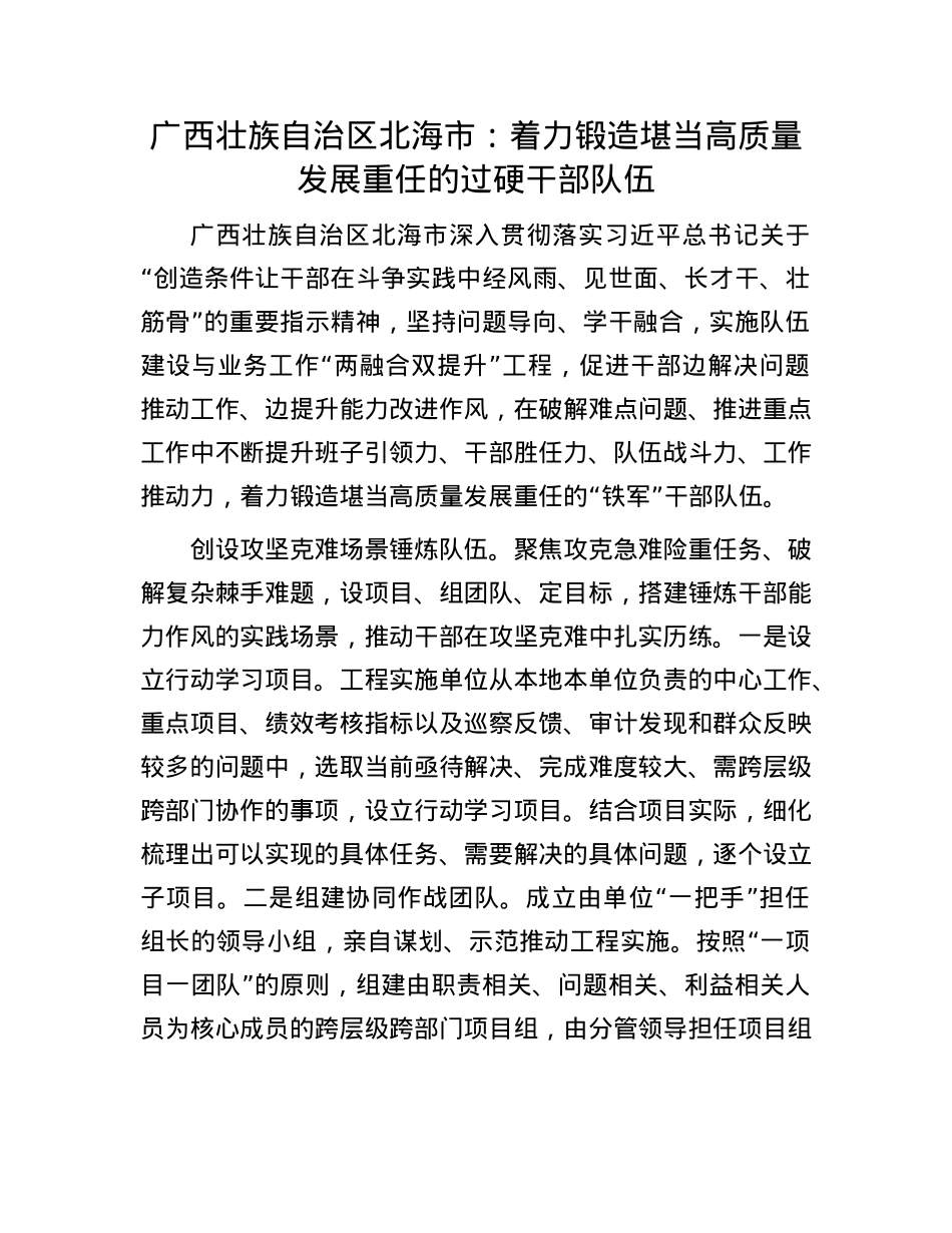 广西壮族自治区北海市：着力锻造堪当高质量发展重任的过硬干部队伍.docx_第1页