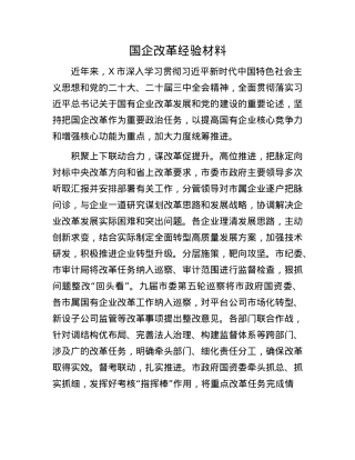 国企改革经验材料.docx