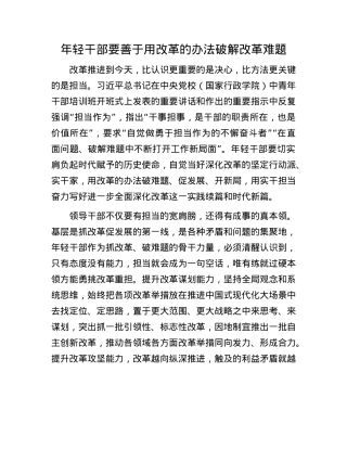 年轻干部要善于用改革的办法破解改革难题.docx