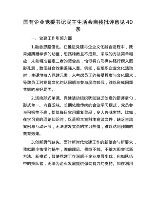 国有企业X委书记民主生活会自我批评意见40条.docx