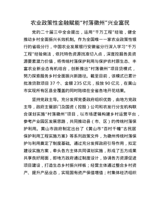 农业政策性金融赋能“村落徽州”兴业富民.docx