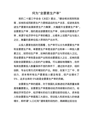何为“全要素生产率”.docx