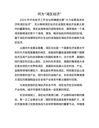 何为“湾区经济”.docx