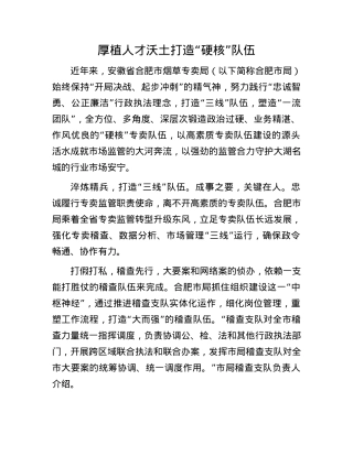 厚植人才沃土 打造“硬核”队伍.docx