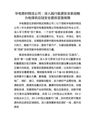 华电燃料物流公司：深入践行能源安全新战略为电煤供应链安全提供坚强保障.docx