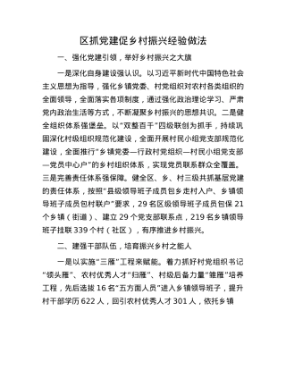 区抓X建促乡村振兴经验做法.docx