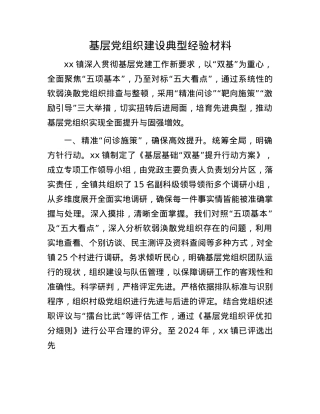 基层X组织建设典型经验材料.docx