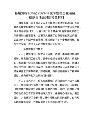 基层党组织书记2024年度专题民主生活会、组织生活会对照检查材料.docx