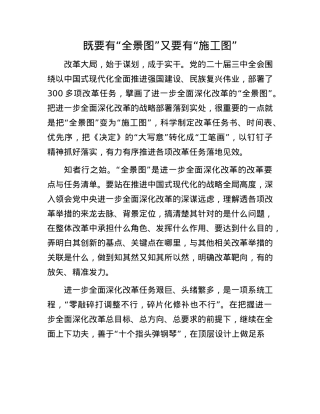 既要有“全景图”又要有“施工图”.docx