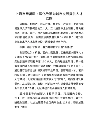 上海市奉贤区：深化改革为城市发展提供人才支撑.docx