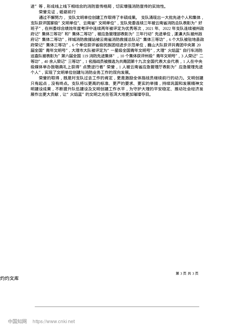 2025.05苍洱“火焰蓝”__闪耀文明之光_大理州消防救援支队.docx_第3页