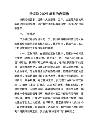 县领导2025年ZZ自画像.docx