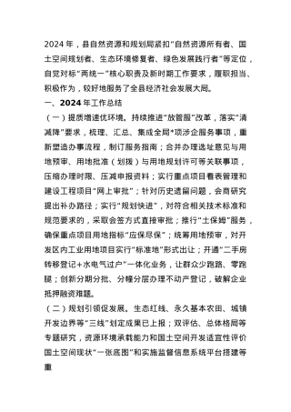 县自然资源和规划局2024年工作总结.docx