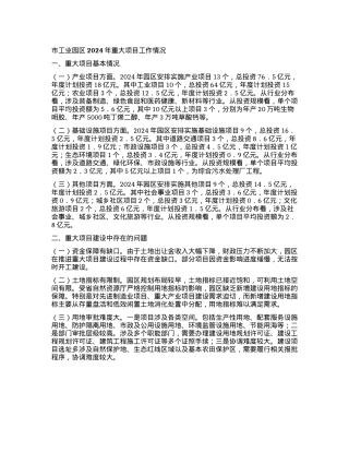 市工业园区2024年重大项目工作情况.docx
