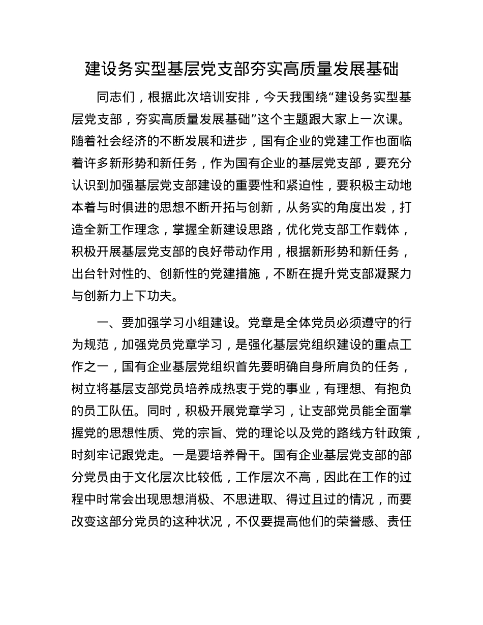 建设务实型基层X支部     夯实高质量发展基础.docx_第1页