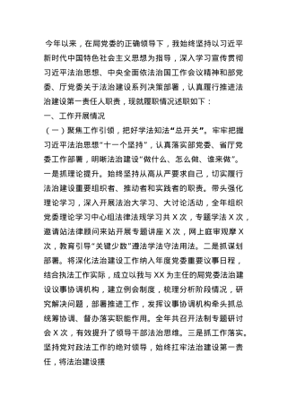 市级单位履行推进法治建设第一责任人述职报告.docx