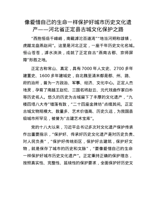 像爱惜自己的生命一样保护好城市历史文化遗产——河北省正定县古城文化保护之路.docx