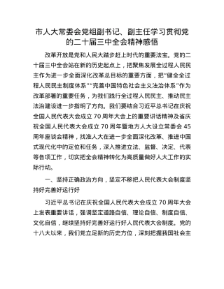 市人大常委会X组副书记、副主任学习贯彻X的二十届三中全会精神感悟.docx