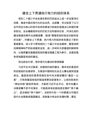 健全上下贯通执行有力的组织体系.docx