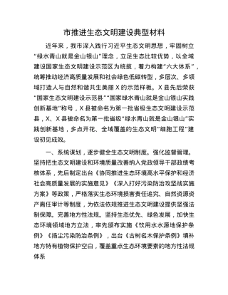 市推进生态文明建设典型材料.docx