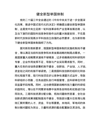 健全新型举国体制.docx