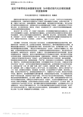 2025.05坚定不移贯彻总体国家安全观__为中国式现代化白银实践提供坚强保障_中共白银市委书记__市委国安委主任__杨建武.docx