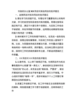 市政府办公室XX同志对其他同志的批评意见.docx