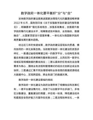 数字政府一体化要平衡好“分”与“合”.docx