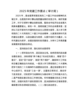2025年X建工作要点（审计局）.docx