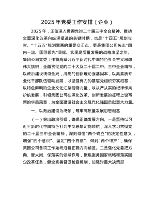 2025年X委工作安排（企业）.docx