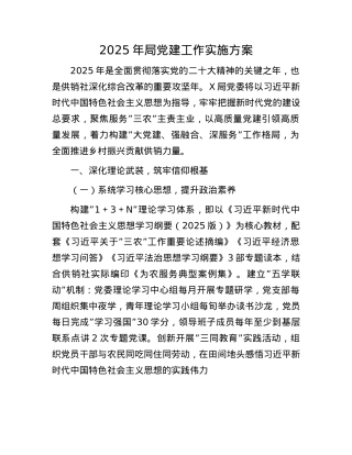 2025年局X建工作实施方案.docx