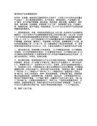 推动特色产业发展典型材料.docx