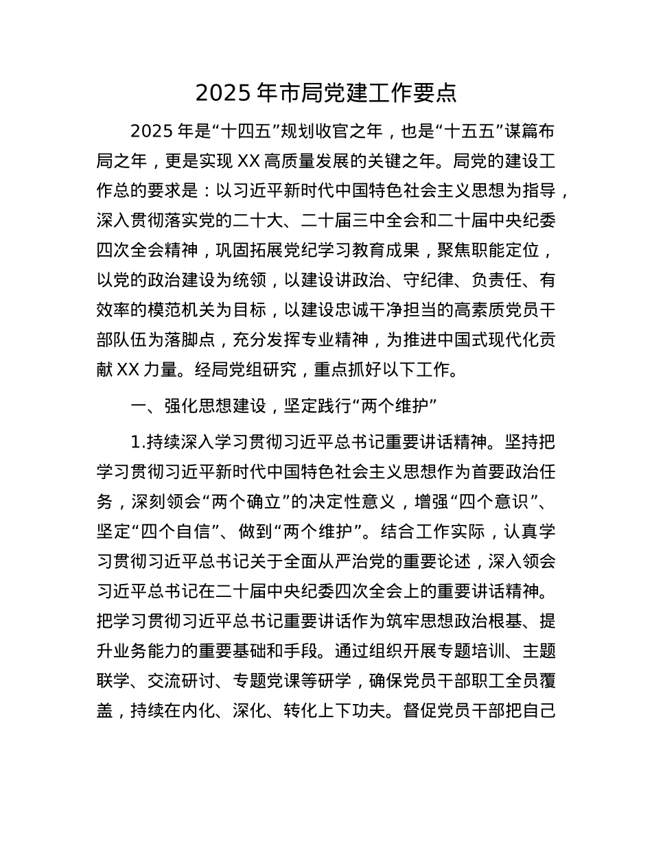 2025年市局X建工作要点.docx_第1页