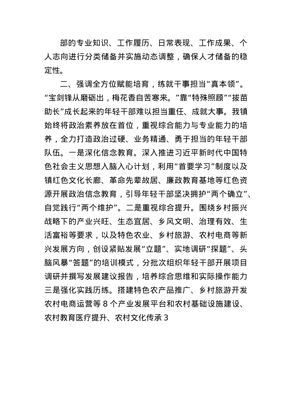 2025年乡镇年轻干部队伍建设经验交流（2386字）.docx_第2页