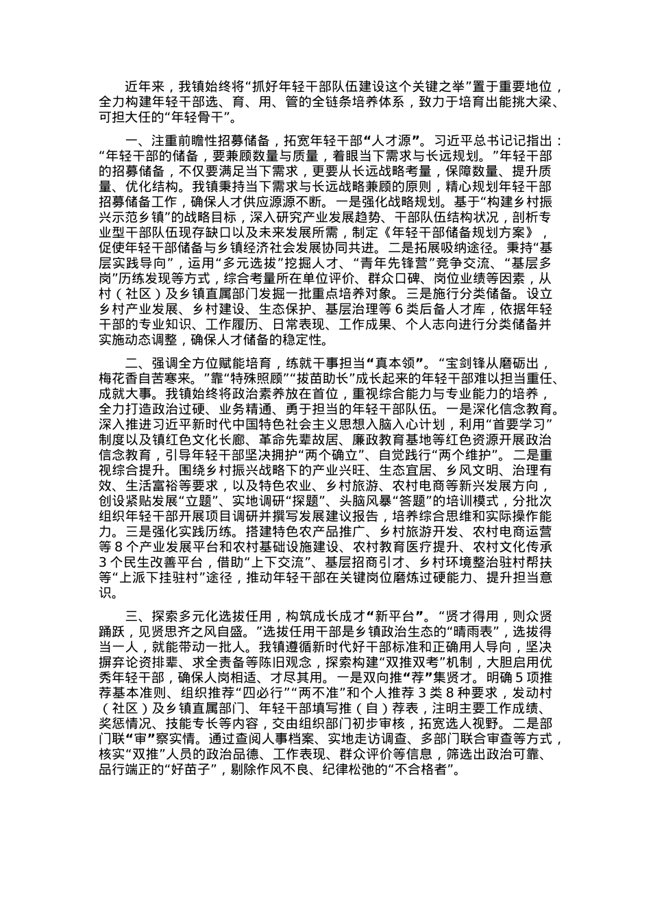 2025年乡镇年轻干部队伍建设经验交流.docx_第1页