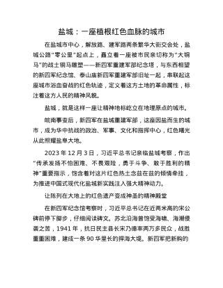 盐城：一座植根红色血脉的城市(1).docx