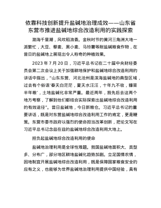 依靠科技创新提升盐碱地治理成效——山东省东营市推进盐碱地综合改造利用的实践探索.docx