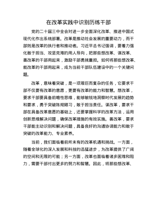 在改革实践中识别历练干部.docx