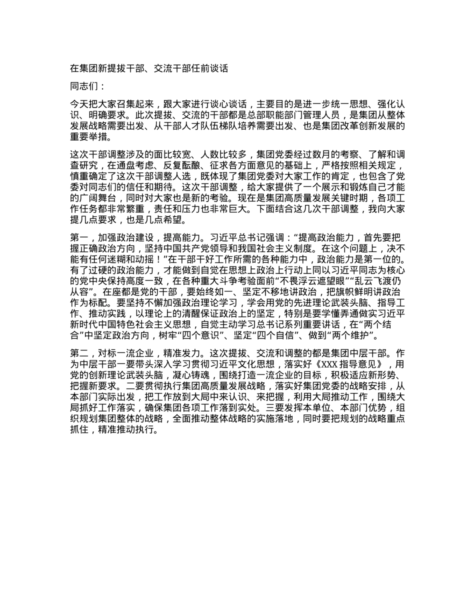 在集团新提拔干部、交流干部任前谈话.docx_第1页