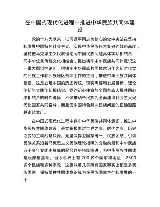 在中国式现代化进程中推进中华民族共同体建设.docx