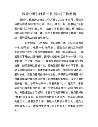 政府办派驻村第一书记驻村工作感悟.docx