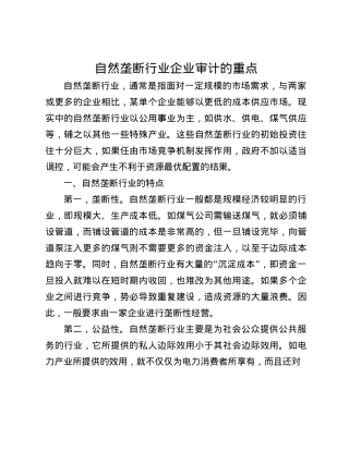 自然垄断行业企业审计的重点(1).docx