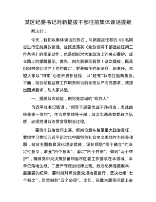 某区纪委书记对新提拔干部任前集体谈话提纲.docx
