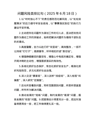 问题风险类排比句（2025年6月18日）.docx